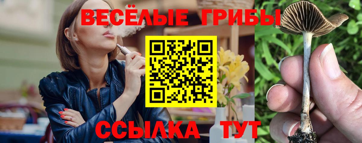 Морозовск  Галлюциногенные грибы прущие грибы  цены наркотик  Вход с VPN 